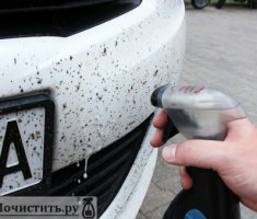 Как очистить насекомых с автомобиля