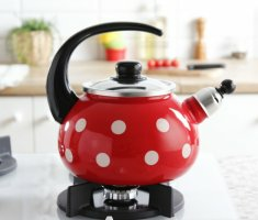 Как очистить чайник из нержавейки в домашних условиях – доступные способы