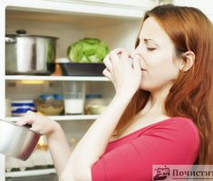 Как устранить из холодильника запах испорченного мяса
